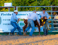 Ranch Rodeo