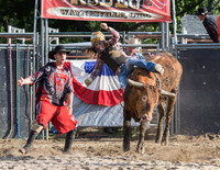 Rodeo 2014