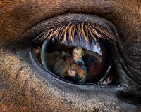 Horse Art