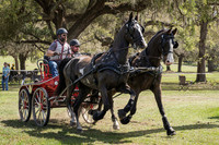 Horse Driving Event 2022 Ocala