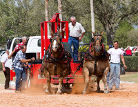 HorsePulls